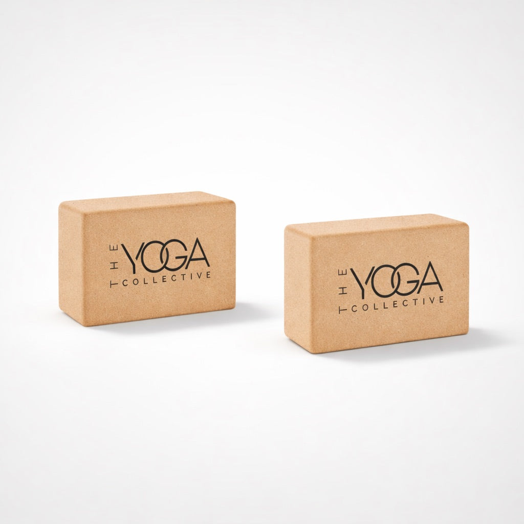 Yoga Bricks Pair